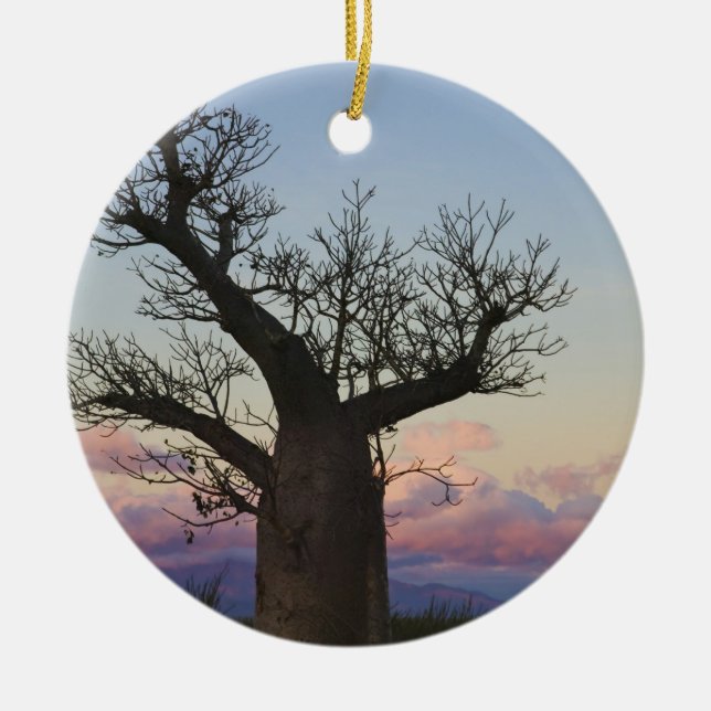 Baobab trees, Berenty, Toliara, Madagascar Ceramic Ornament (Front)