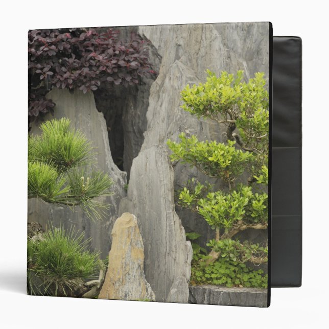 Bao's family garden, Huangshan, China. 2 Binder (Front/Inside)