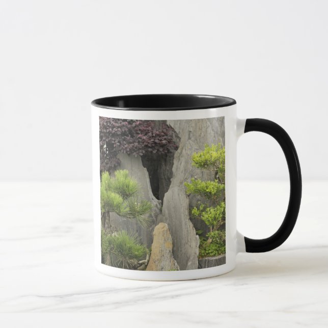 Bao's family garden, Huangshan, China. 2 Mug (Right)
