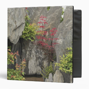 Bao's family garden, Huangshan, China. 3 Ring Binder
