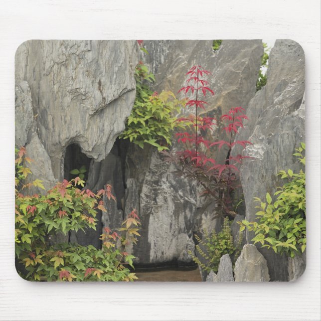 Bao's family garden, Huangshan, China. Mouse Pad (Front)