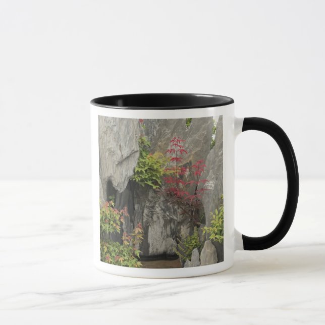 Bao's family garden, Huangshan, China. Mug (Right)