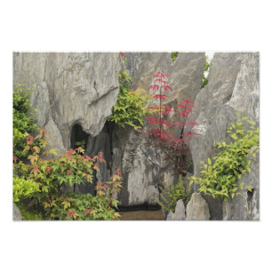 Bao's family garden, Huangshan, China. Photo Print