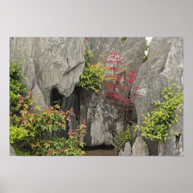 Bao's family garden, Huangshan, China. Poster (Front)