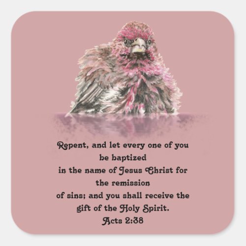 Baptism Scripture Acts 238 Cute Wet Finch Bird Square Sticker