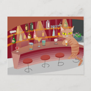 Bar cat postcard
