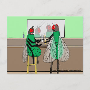 "Bar Flies" Postcard