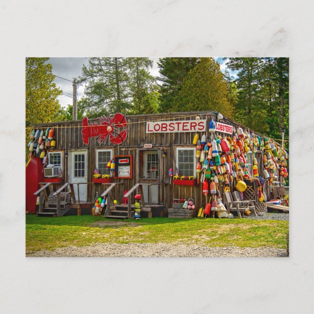 Bar Harbor Lobsters Postcard (Front)