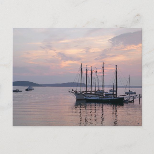Bar Harbor Ships at Sunrise II Postcard (Front)