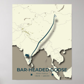 Bar-headed Goose Migration Map – Minimalist Poster
