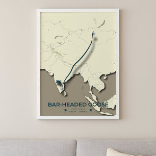 Bar-headed Goose Migration Map – Minimalist Poster