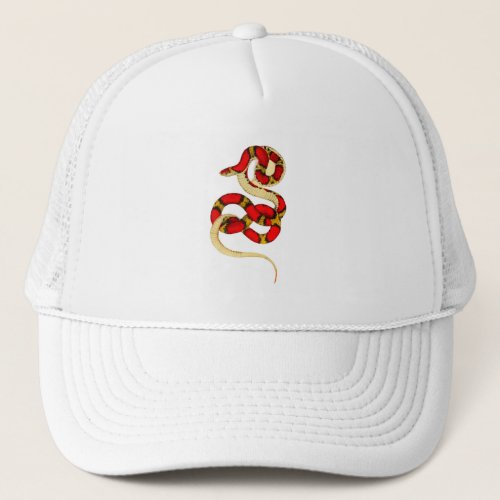 bar trucker hat