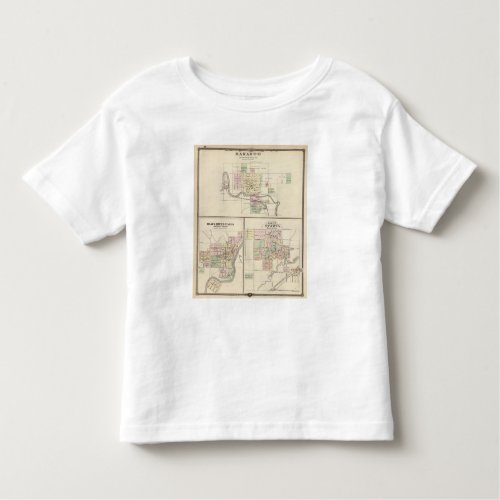 Baraboo Black River Falls and Sparta Toddler T_shirt