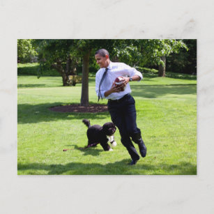 Barack & Bo Obama Postcard