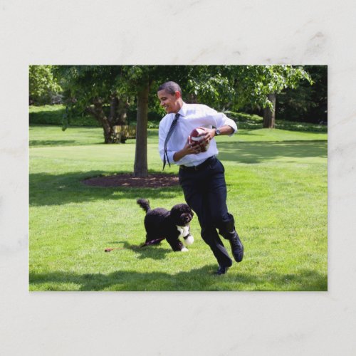 Barack  Bo Obama Postcard