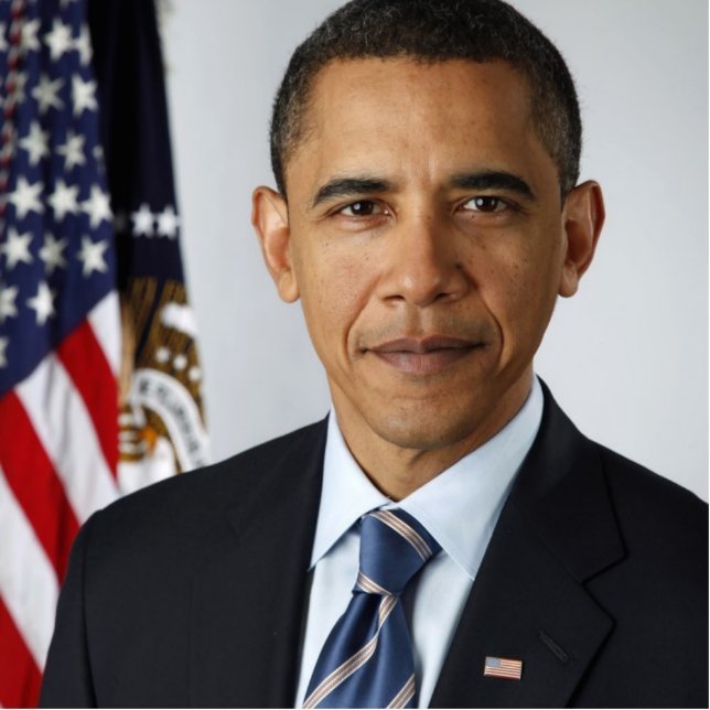 Barack Obama Official US Presidential Portrait Cutout (Front)
