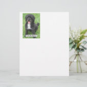 Barack Obama Portuguese Water Dog (Standing Front)