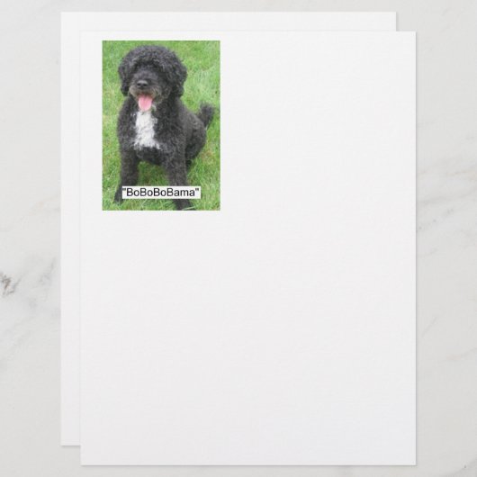 Barack Obama Portuguese Water Dog (Front/Back)