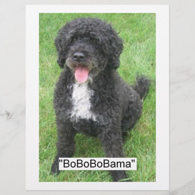 Barack Obama Portuguese Water Dog Flyer (Front)
