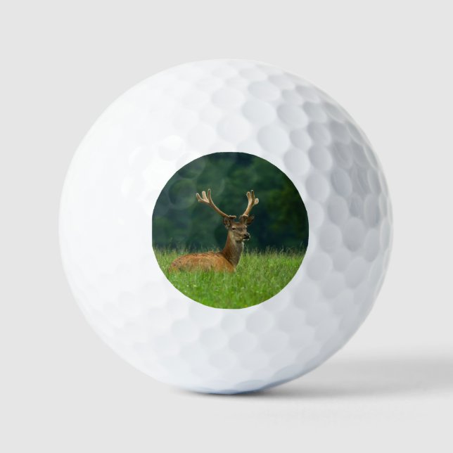 Barasingha deer golf balls (Front)