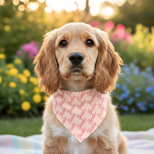 Barb Pet Bandana Collar