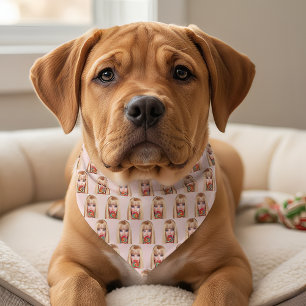 Barb Pet Bandana Collar