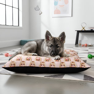 Barb Pet Bed