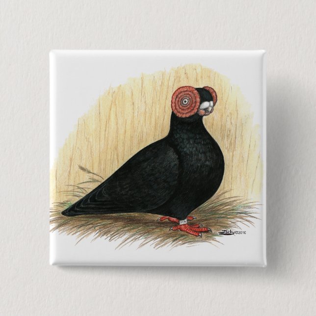 Barb Pigeon Standard Black Pinback Button (Front)