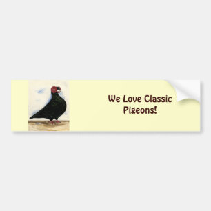 Barb Pigeon Watercolor Bumper Sticker
