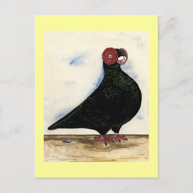 Barb Pigeon Watercolor Postcard (Front)