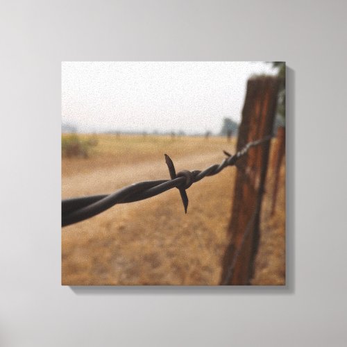 Barb Wire Fence Canvas Print
