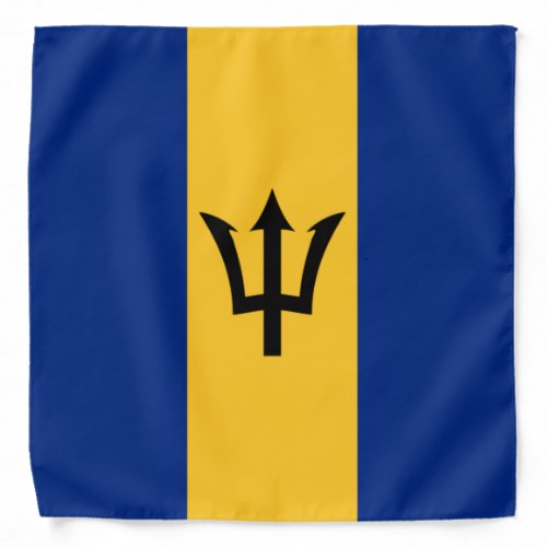 Barbadian Flag Barbados Bajan Bandana
