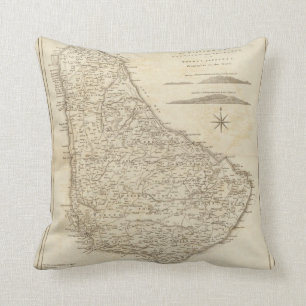 Barbadoes Throw Pillow