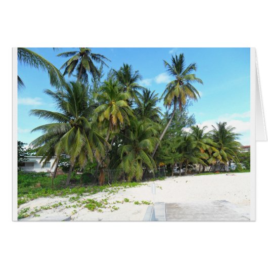 Barbados 2010 279 cards (Front Horizontal)