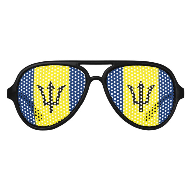 Barbados Aviator Sunglasses (Front)