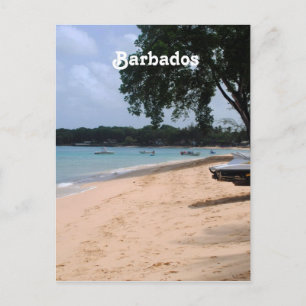 Barbados Beach Postcard