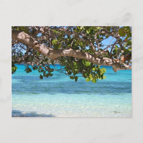 Barbados Beach Scenery Postcard