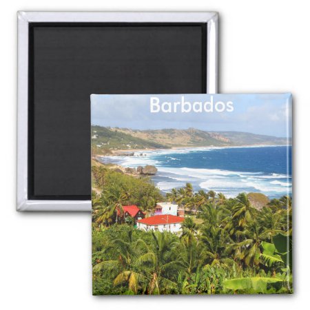 Barbados, Beautiful View Of The Hillside And Ocean Magnet