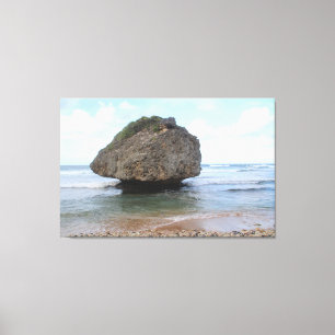 Barbados Big Rock in Bathsheba Canvas Print