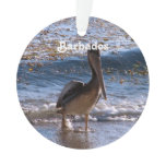 Barbados Brown Pelican Ornament