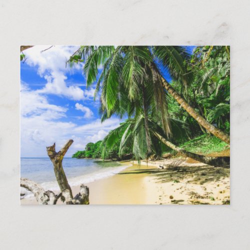 Barbados Caribbean Island Beach Palm Tree Retreat Postcard