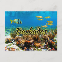 Barbados coral reef
