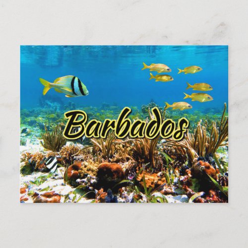 Barbados coral reef postcard