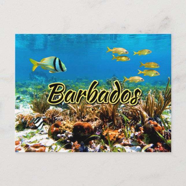 Barbados coral reef postcard (Front)