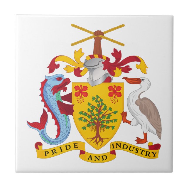 Barbados country coat arms symbol emblem flag ceramic tile (Front)