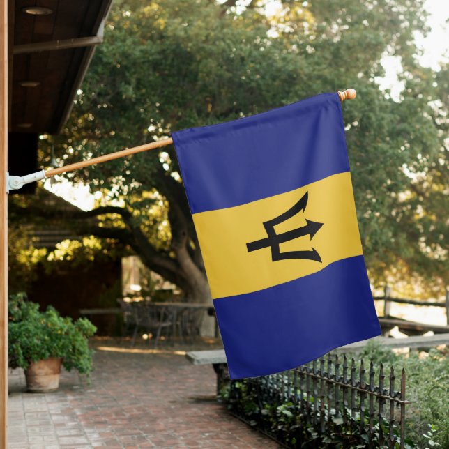 Barbados flag (In SItu)