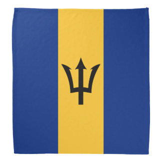 Barbados Flag Bandana