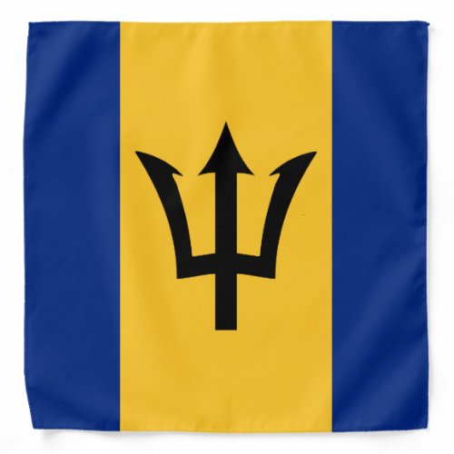 Barbados Flag Bandana