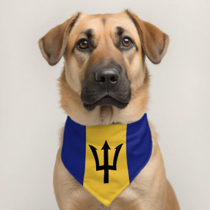 Barbados flag pet bandana collar