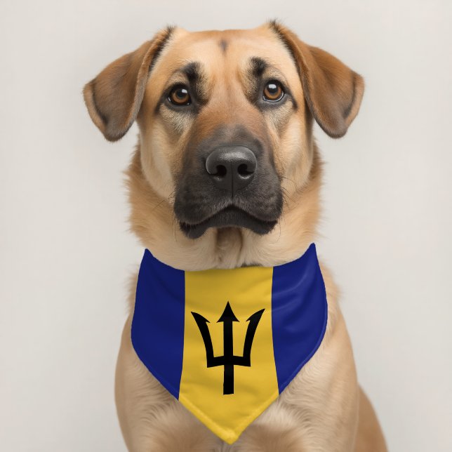 Barbados flag pet bandana collar (Dog 2)